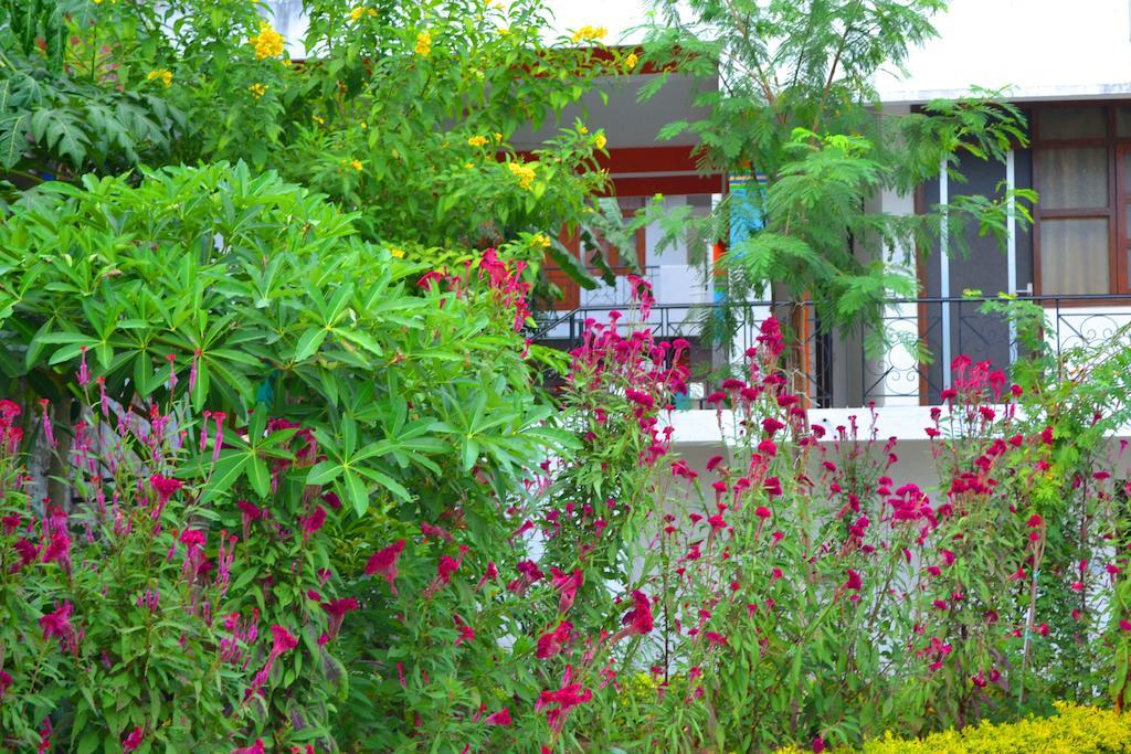 Hotel Harmony Khajurāho Dış mekan fotoğraf